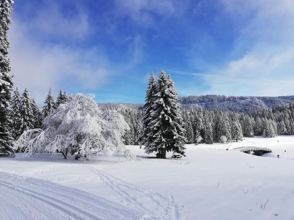 Ferme Des Deux Freres, Autrans, Vercors Zewnętrze zdjęcie